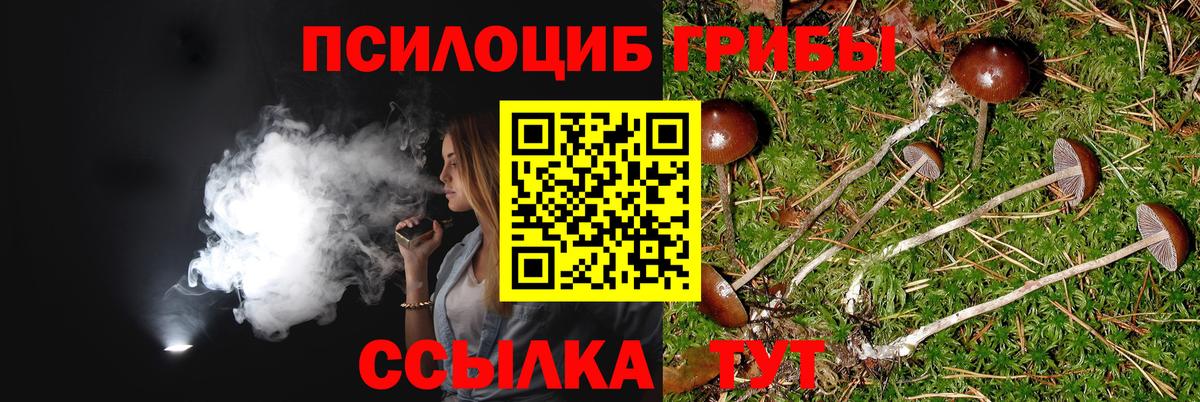 Псилоцибиновые грибы MAGIC MUSHROOMS  Галлюциногенные грибы ЛСД  Новотроицк  Вход с VPN 